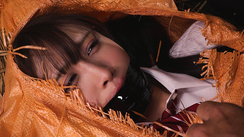 【高画質画像】天音かんなが魅せる極上シーン(ddk00238)